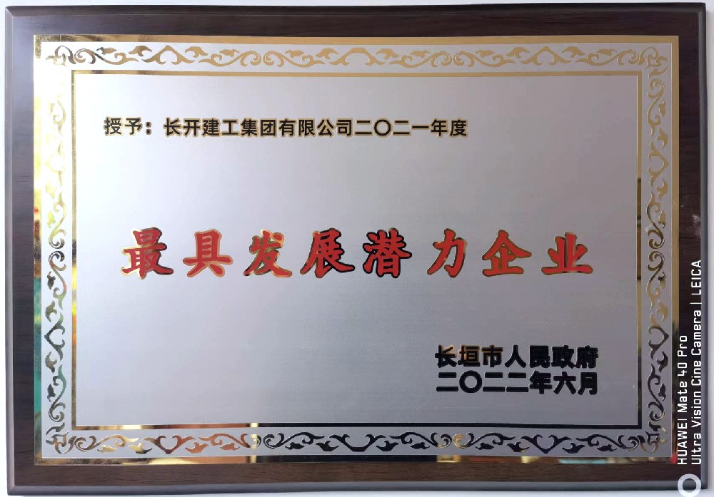 2021年度最具發(fā)展?jié)摿ζ髽I(yè)